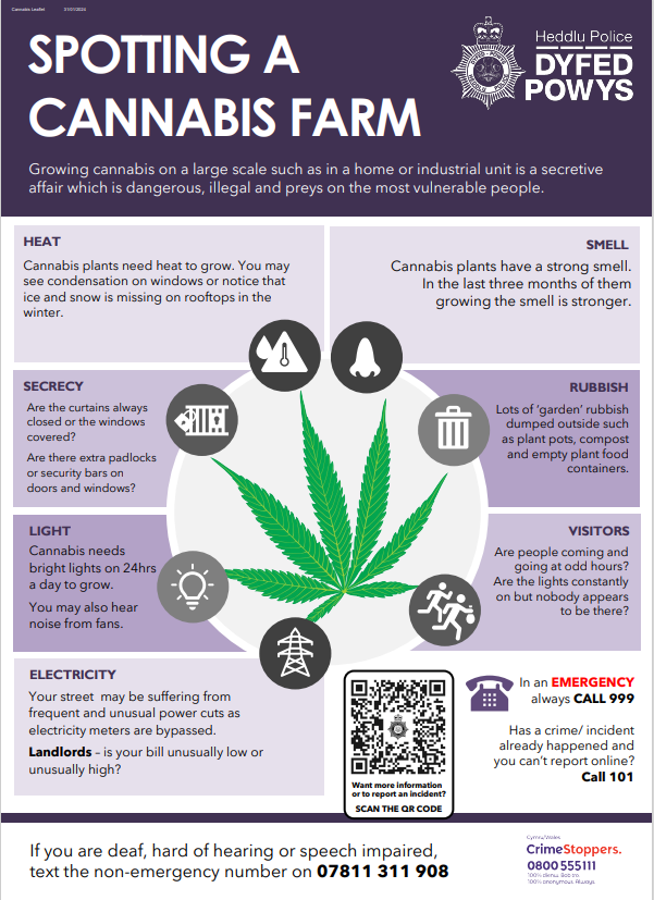 Spot A Cannabis Farm